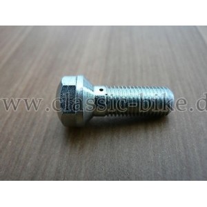 65-0317  ,Rocker spindle oil bolt