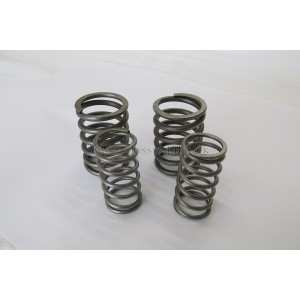 VALVE SPRING SET TRI T20  sæt