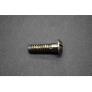 21-1873  CRANKCASE SCREW, 1/4 Whit 